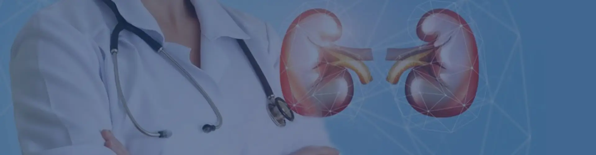 Best Urologists in Madipakkam, Chennai | Urology Care